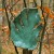 IMG_6981-cut.jpg